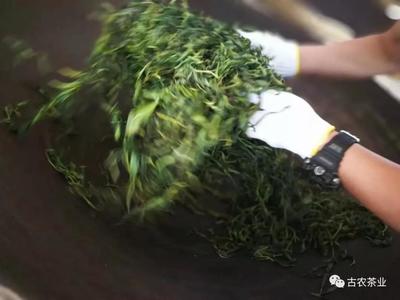 彩农茶“匠心传承,以茶为本,不忘初心”炒茶大赛:于2018年5月20日在勐海举办